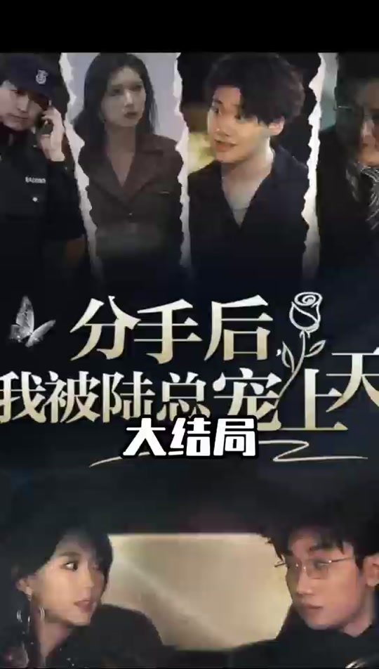 分手后,我被陆总宠上天