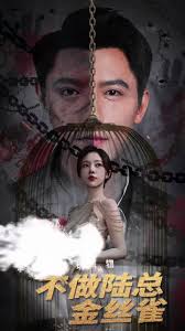 掌中玩物,不做陆总金丝雀