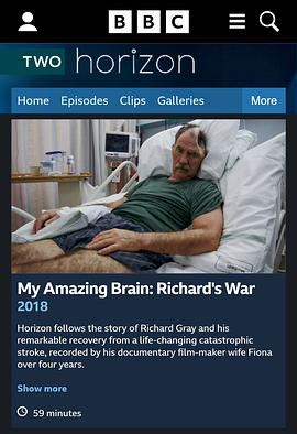 地平线系列:我的神奇大脑