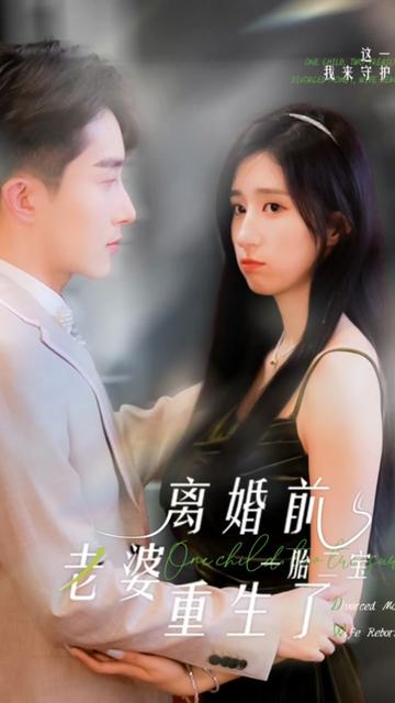 一胎二宝:离婚前老婆重生了