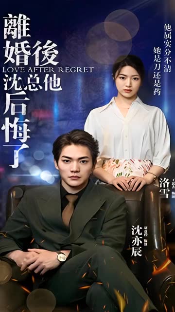 离婚后,沈总他后悔了