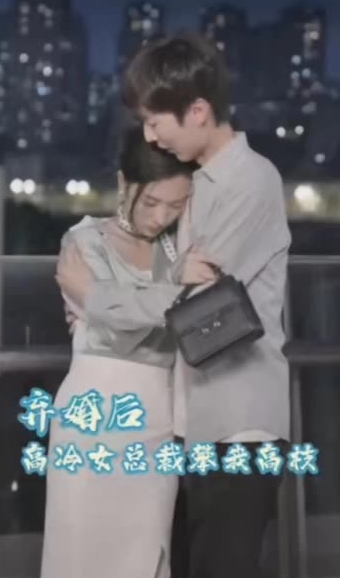 弃婚后,高冷女总裁攀我高枝