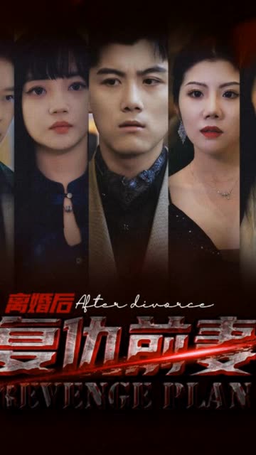 离婚后,复仇前妻