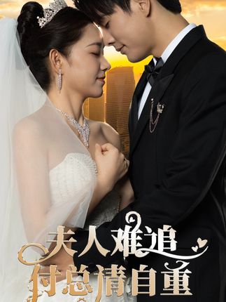 夫人难追,付总请自重