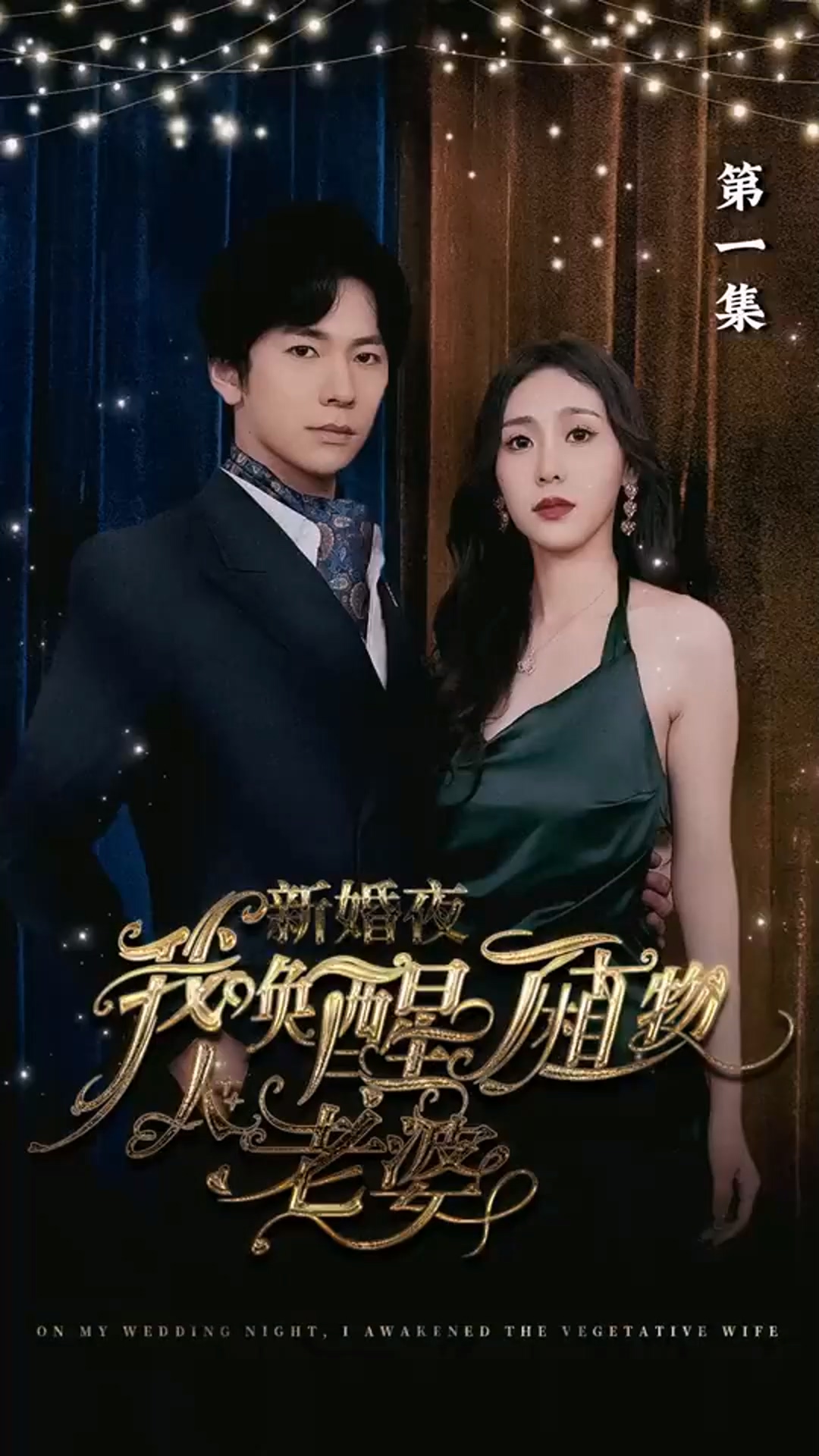 新婚夜,我唤醒了植物人老婆