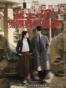 重生80,我偏要嫁纨绔