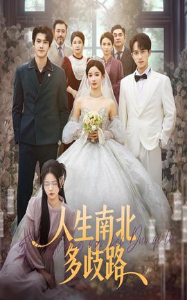 人生南北多歧路