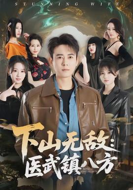下山无敌:医武镇八方